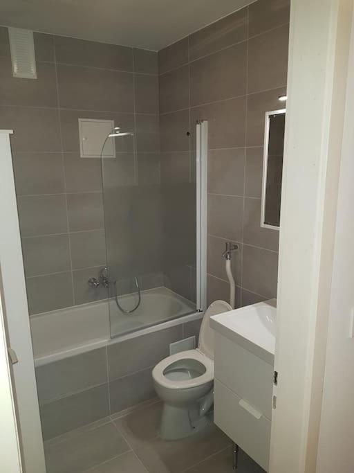 Studio De La Petite France Apartment Strasbourg Bagian luar foto