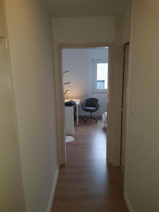 Studio De La Petite France Apartment Strasbourg Bagian luar foto